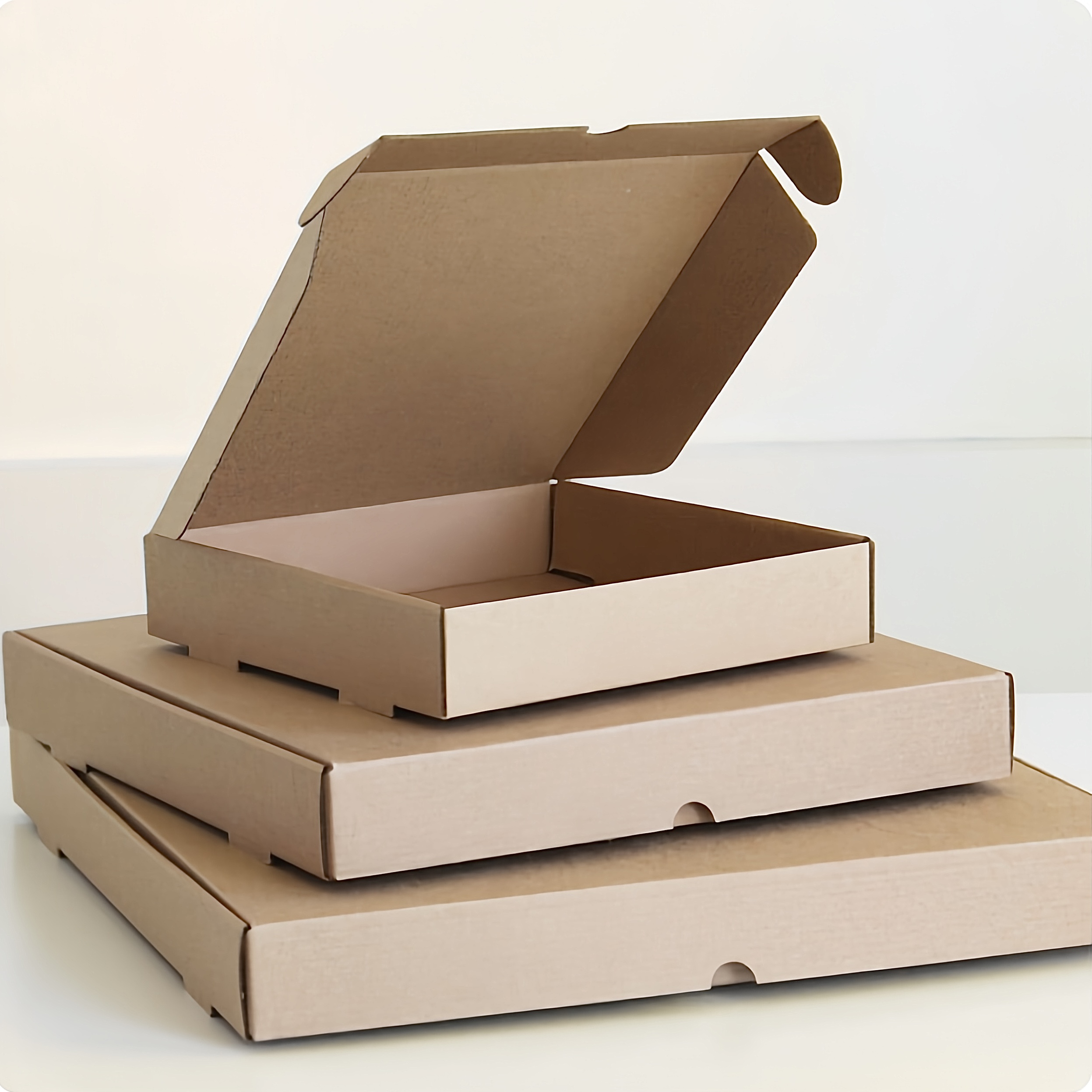 Hộp Pizza 2
